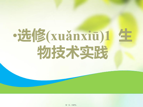 (全国通用版)高考生物一轮复习选考部分生物技术实践第1讲传统发酵技术的应用课件