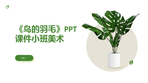 《鸟的羽毛》PPT课件小班美术