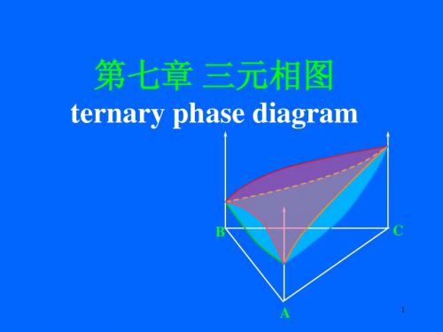 第七章 三元相图