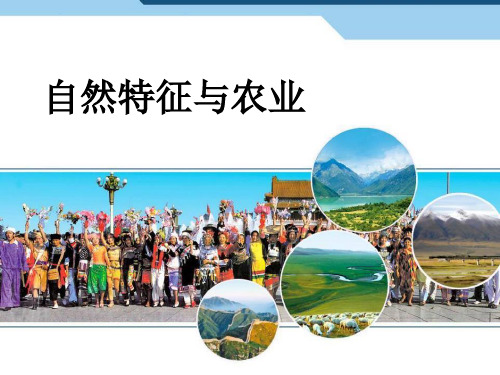 八年级地理下册课件：8.1 西北地区-自然特征与农业