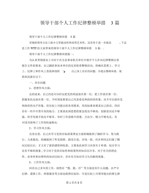 领导干部个人工作纪律整改措施3篇