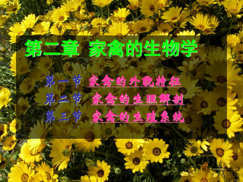 第二章 家禽的生物学特性