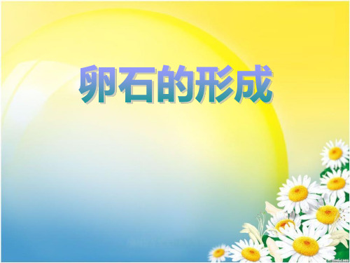 鄂教版科学六年级上册第10课《卵石的形成》ppt课件