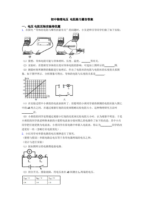 初中物理电压 电阻练习题含答案