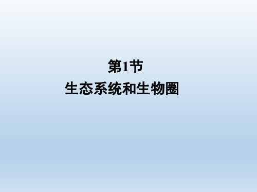 苏教版高中生物必修3《生态系统和生物圈》精品课件