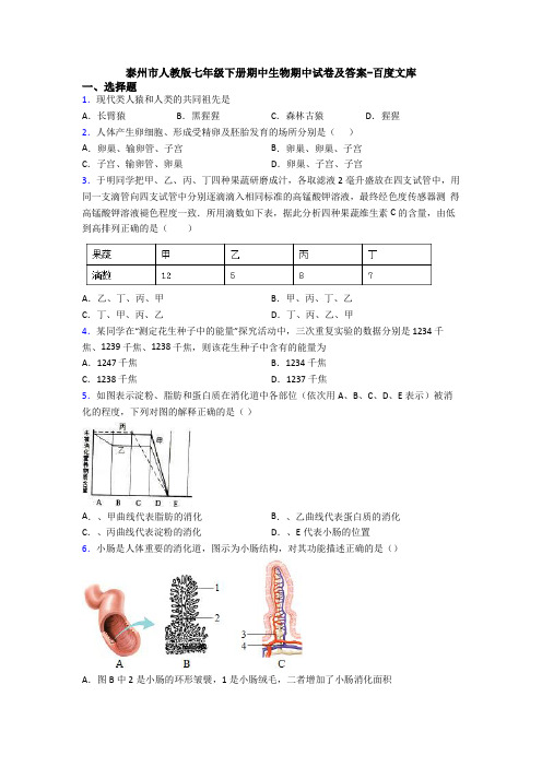 泰州市人教版七年级下册期中生物期中试卷及答案-百度文库