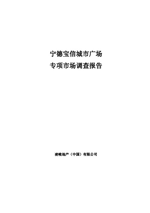 福建宁德宝信城市广场专项市场调研报告