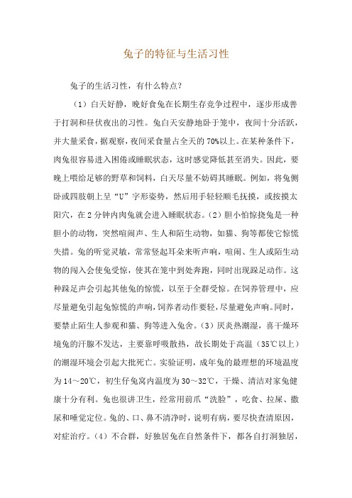 兔子的特征与生活习性
