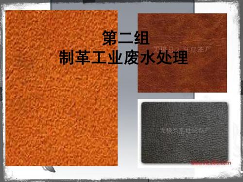 第二组---制革工业废水处理