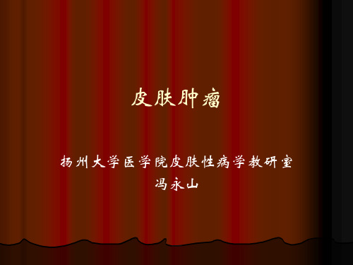良性皮肤肿瘤课件
