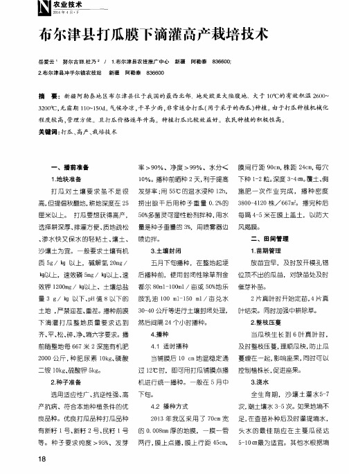 布尔津县打瓜膜下滴灌高产栽培技术