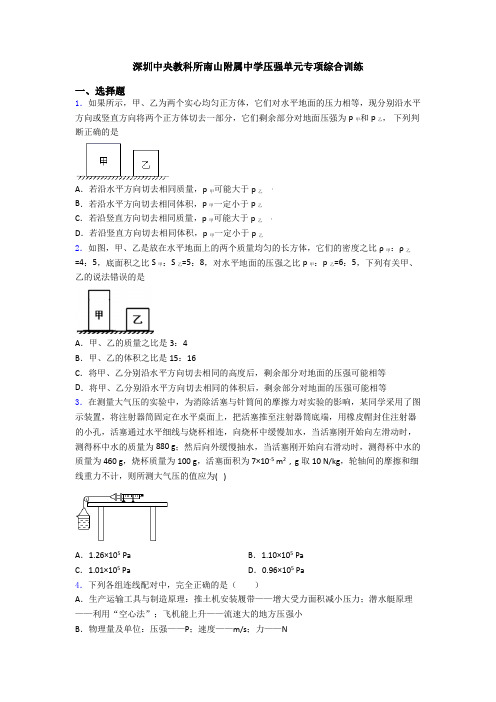 深圳中央教科所南山附属中学压强单元专项综合训练