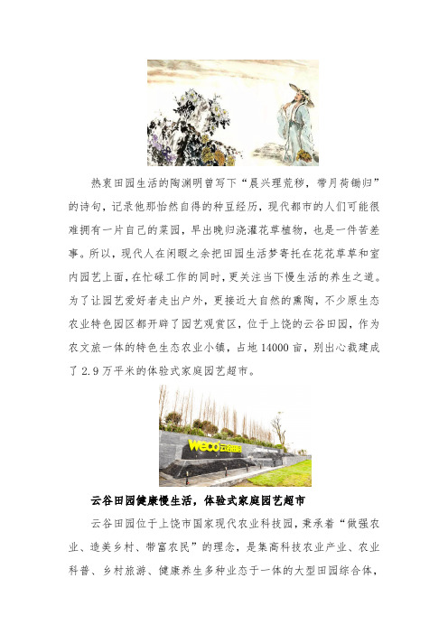 云谷田园健康慢生活,从园艺超市到金线莲泡饮
