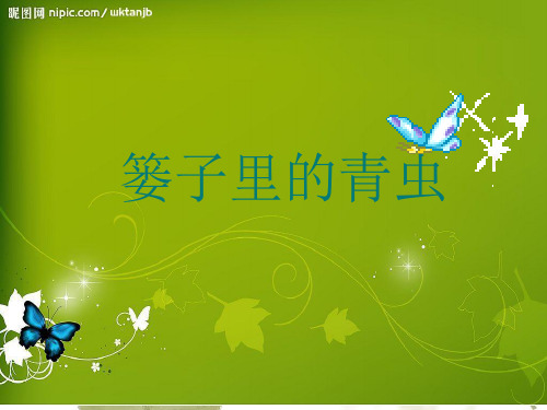 篓子里的青虫_PPT课件