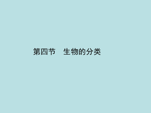 苏教生物八年级上册第5单元第14章第四节 生物的分类 课件(共23张PPT)