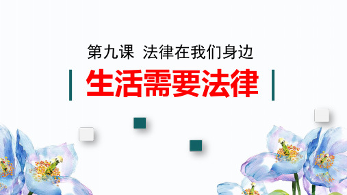 人教版道德与法治七年级下册生活需要法律课件5