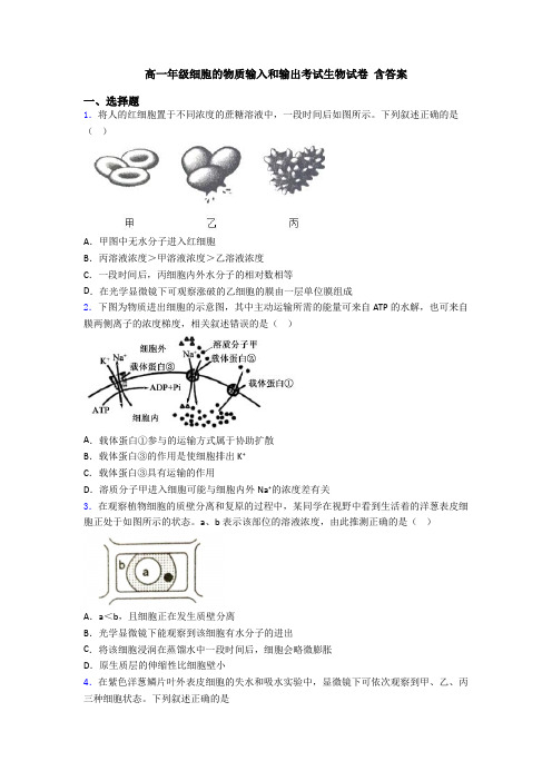 高一年级细胞的物质输入和输出考试生物试卷 含答案