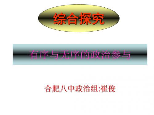 高一政治有序与无序的政治参与(教学课件2019)