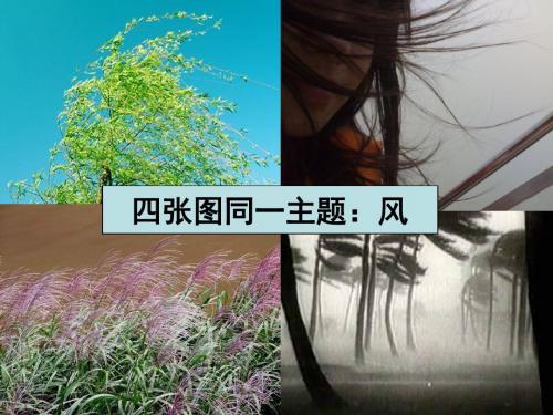 1.4风向和风速