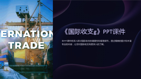 《国际收支g》课件