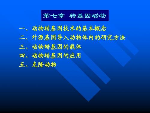 七、动物基因工程