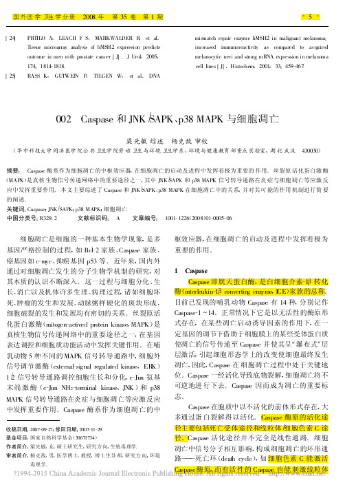 Caspase和JNK_SAPK_p38MAPK与细胞凋亡_梁先敏