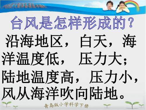 16《来自大自然的信息》
