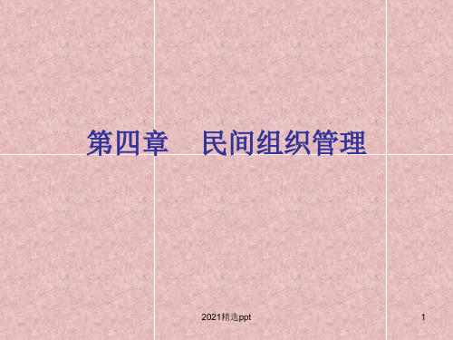 民间组织管理ppt课件