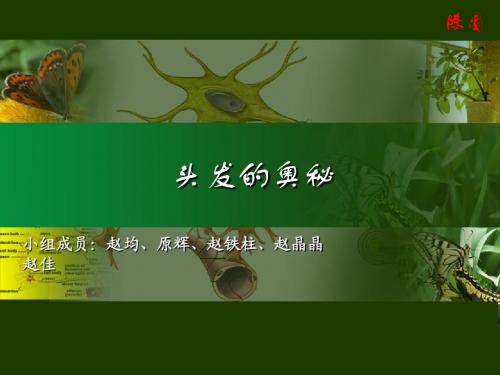 头发的奥秘