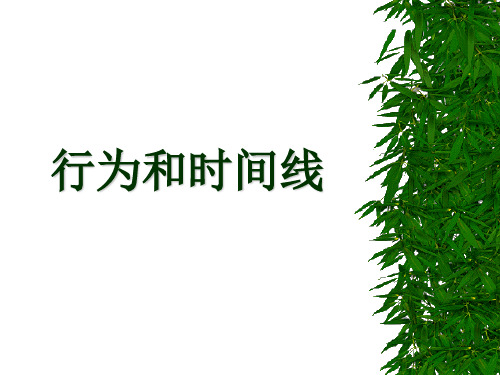 行为和时间线概述(PPT 50页)