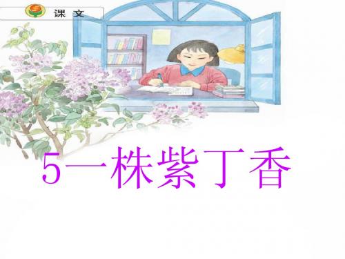 苏教版二年级上册5《一株紫丁香》课件