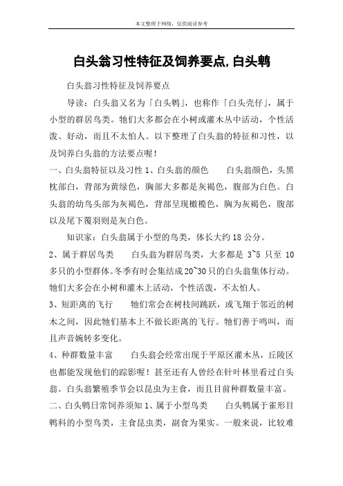 白头翁习性特征及饲养要点,白头鹎