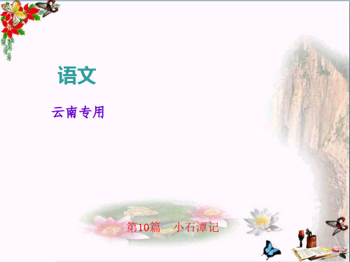 中考语文复习课件：文言文阅读第10篇 小石潭记(共25张PPT)(优质版)