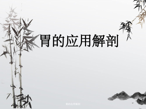 胃的应用解剖