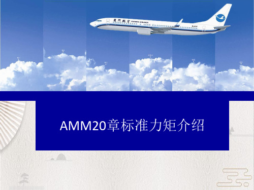 【厦航勤务】AMM20章标准力矩介绍