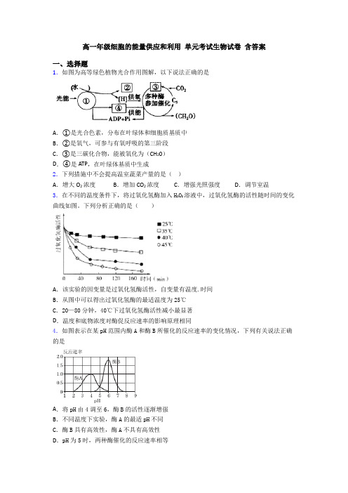 高一年级细胞的能量供应和利用 单元考试生物试卷 含答案