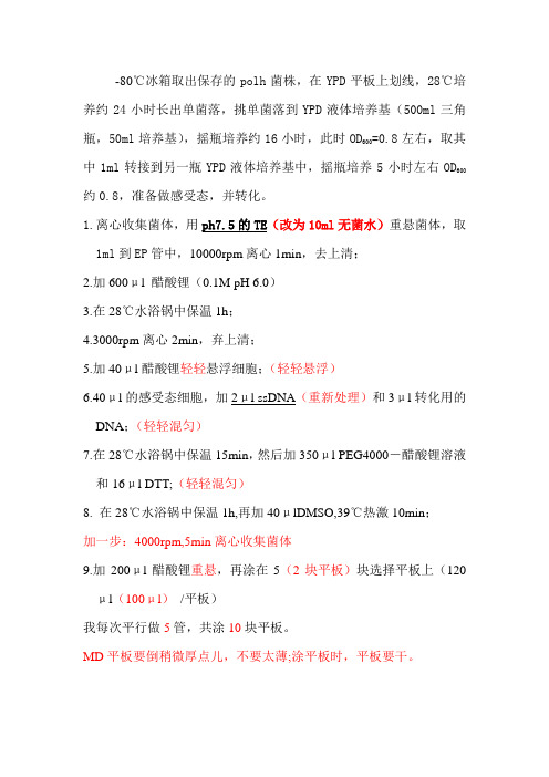解脂耶氏酵母转化过程
