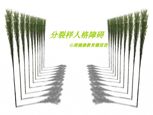 分裂样人格障碍基本知识