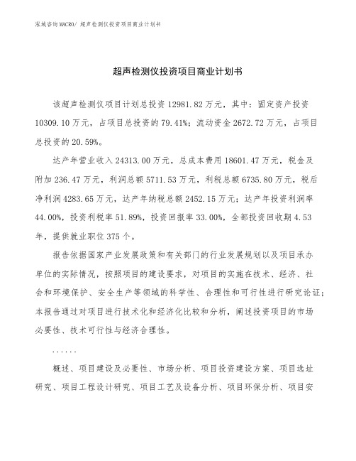 超声检测仪投资项目商业计划书 (1)