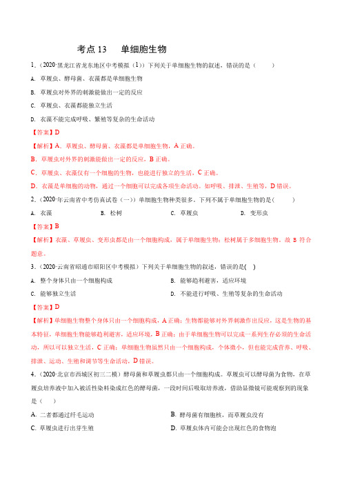 考点13 单细胞生物-七年级生物(解析版)