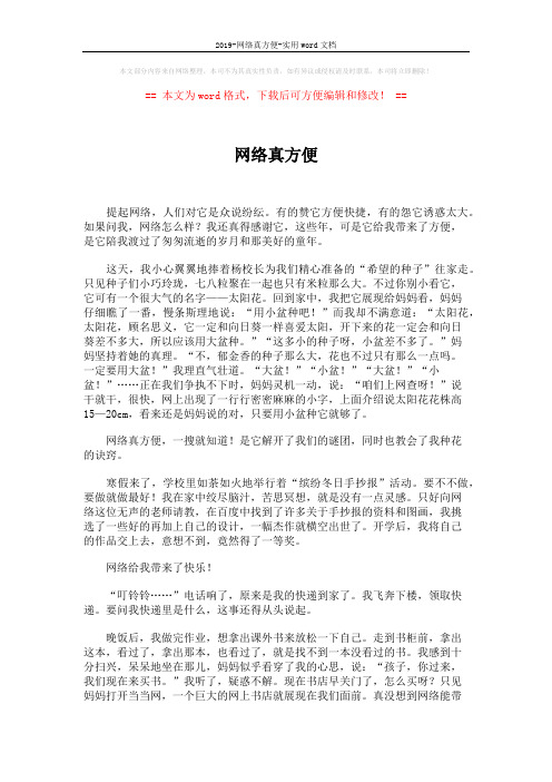 2019-网络真方便-实用word文档 (2页)