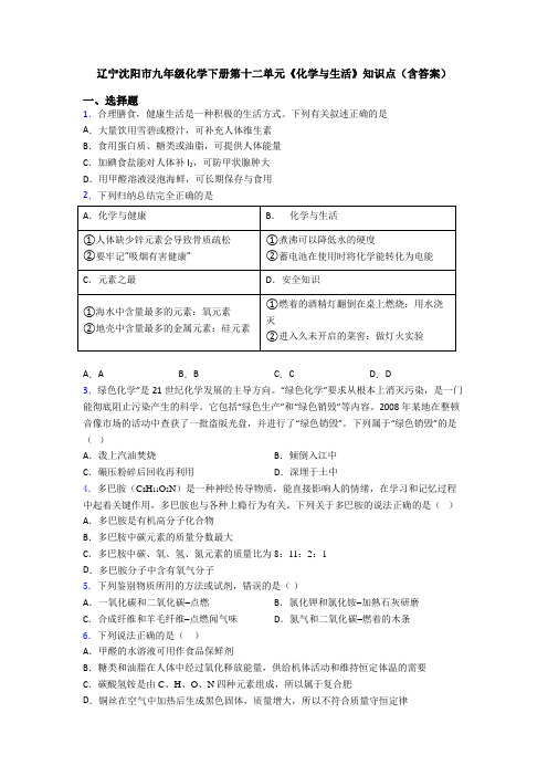 辽宁沈阳市九年级化学下册第十二单元《化学与生活》知识点(含答案)