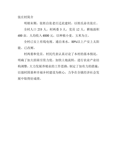 张庄村简介