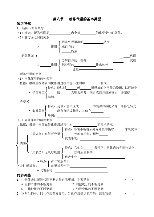 最新高二生物-第八节新陈代谢的基本类型 精品