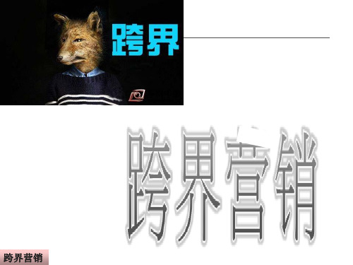 跨界营销案例分析(ppt 63页)