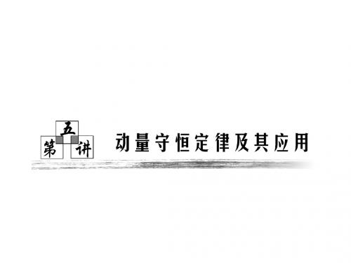 广东物理2011年高考一轮复习第五章第五讲《动量守恒定律及其应用》课件