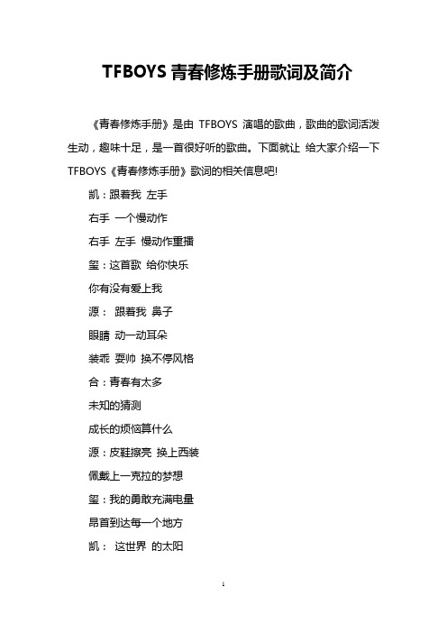 TFBOYS青春修炼手册歌词及简介
