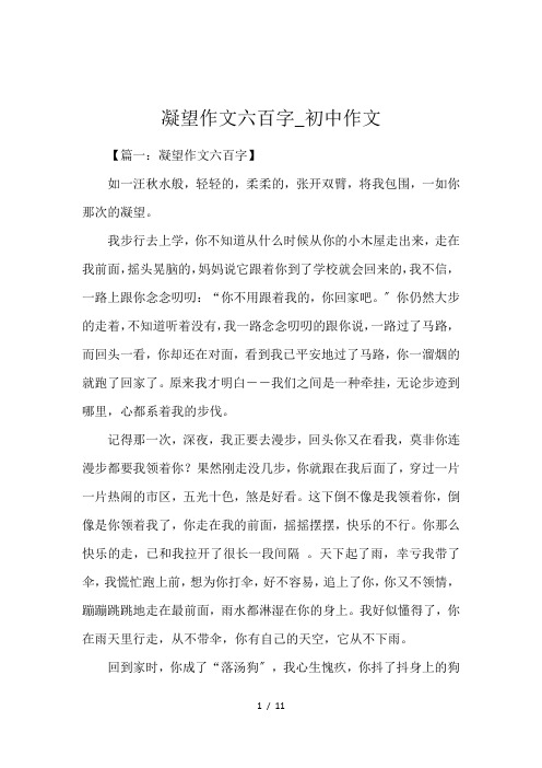 凝望作文六百字_初中作文