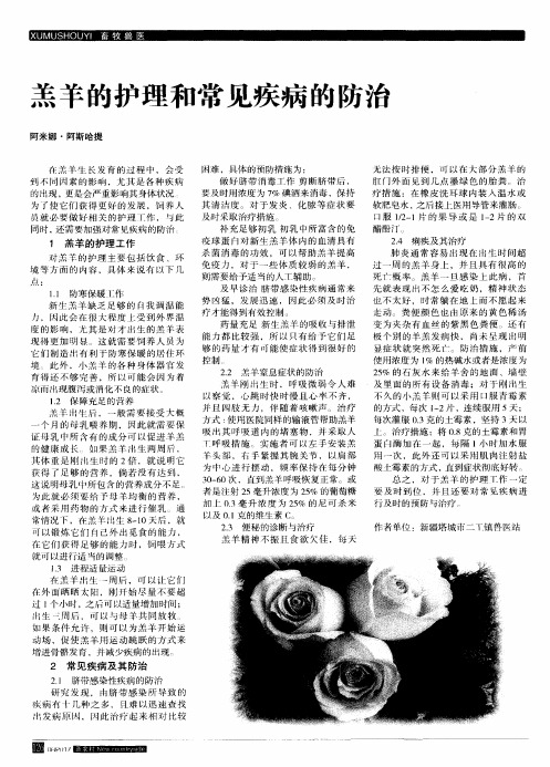 羔羊的护理和常见疾病的防治