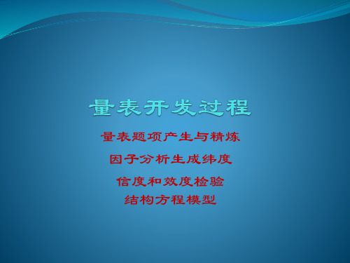 量表开发过程